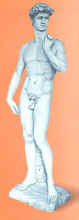 david.jpg (46875 byte)